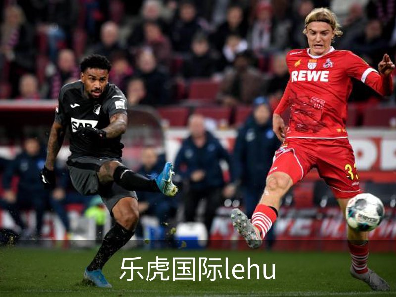 走进乐虎国际lehu